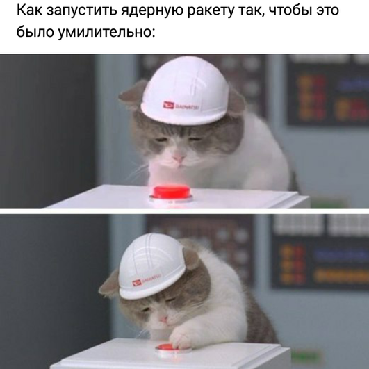 Коллаж-мем с японским котом, где кот сначала смотрит на кнопку, а потом нажимает ее. Надпись на картинке «Как запустить ядерную ракету так, чтобы это было умилительно». Коллаж-мем с японским котом, где кот сначала смотрит на кнопку, а потом нажимает ее. Надпись на картинке «Как запустить ядерную ракету так, чтобы это было умилительно».