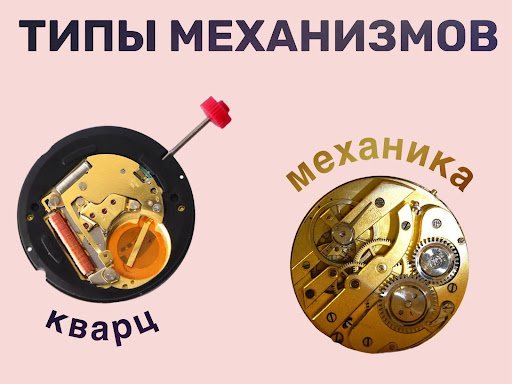 Внутреннее строение кварцевых и механических часов Внутреннее строение кварцевых и механических часов