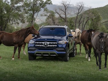 slide image for gallery: 24626 | Mercedes-Benz GLS внешность