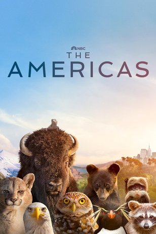 Постер шоу «Америка»