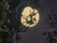 Кадр из Как прекрасно светит сегодня луна