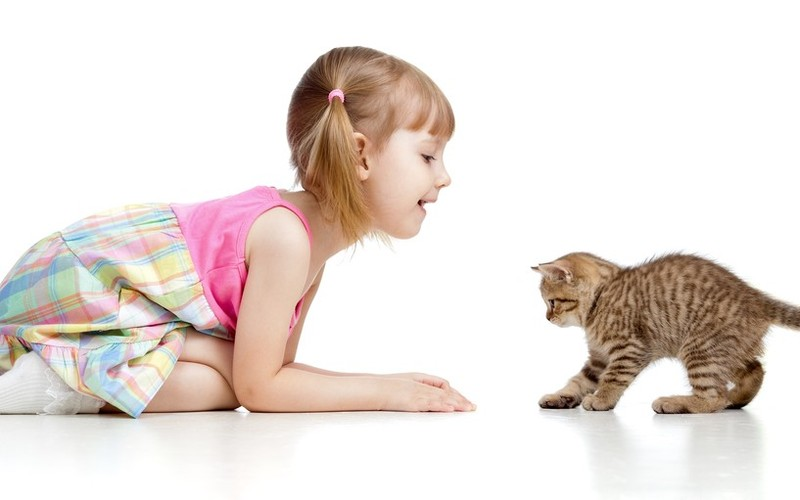Котенок играет малыша. Дети изображают животных. Ребенок изображает кошку. Дети имитируют животных. Ребенок играет с котенком.