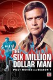 Постер Человек на шесть миллионов долларов: 1 сезон