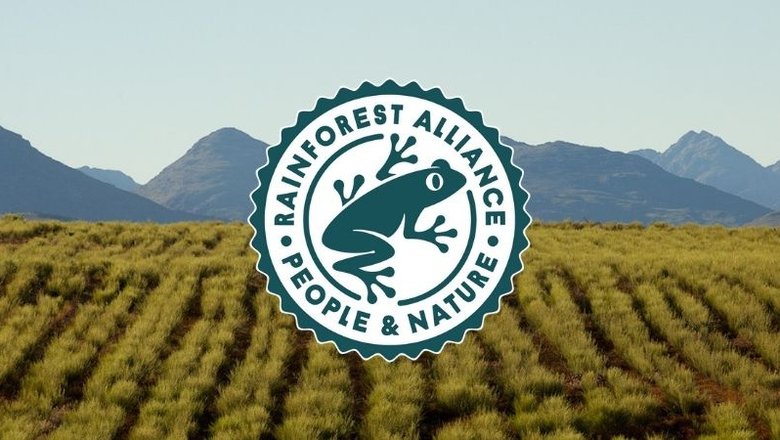Логотип Rainforest Alliance.