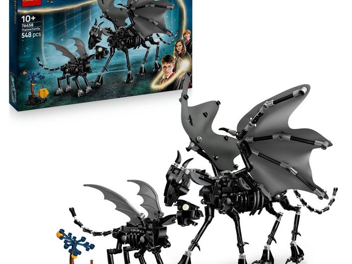 Lego для фанатов Гарри Поттера Lego для фанатов Гарри Поттера