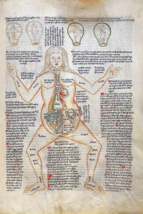 В средневековье представления о женском организме были довольно сомнительными (манускрипт XIII века)
