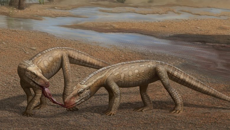 Художественная реконструкция двух особей Parvosuchus aurelioi в триасовом ландшафте.