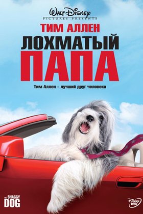Лохматый папа: постер
