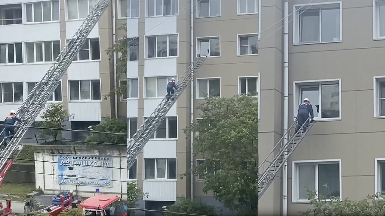 Спасатель лезет за котом