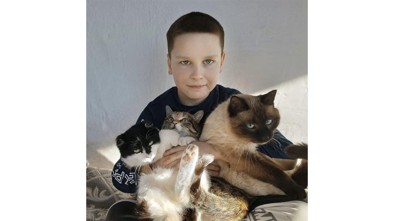 Девятилетний мальчик спас несколько кошек и собак в Забайкалье