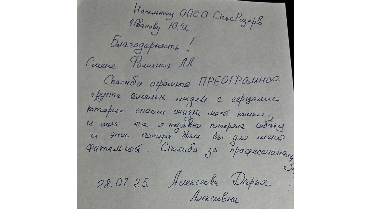 В Москве спасли кошку, которая оказалась «за бортом» В Москве спасли кошку, которая оказалась «за бортом»