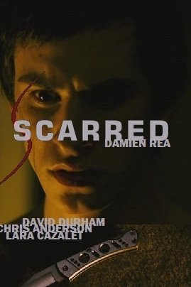 Шрам: постер