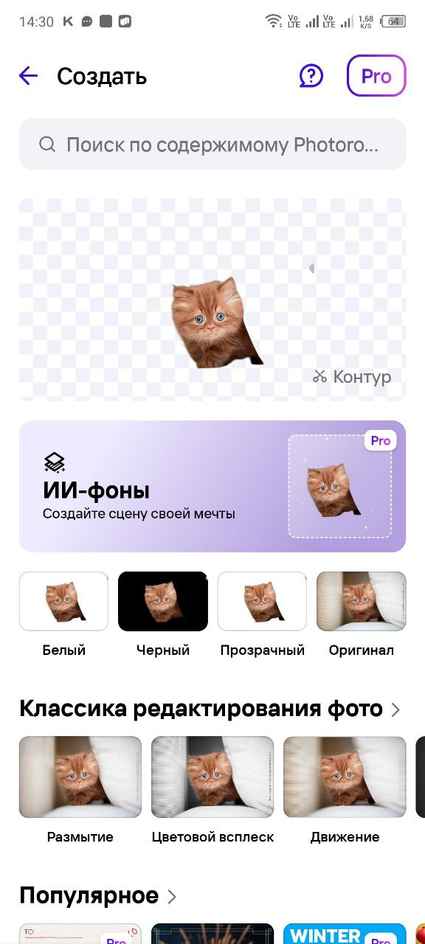 Интерфейс программы Photoroom Интерфейс программы Photoroom