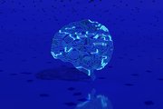 Мозг Нейросеть ИИ