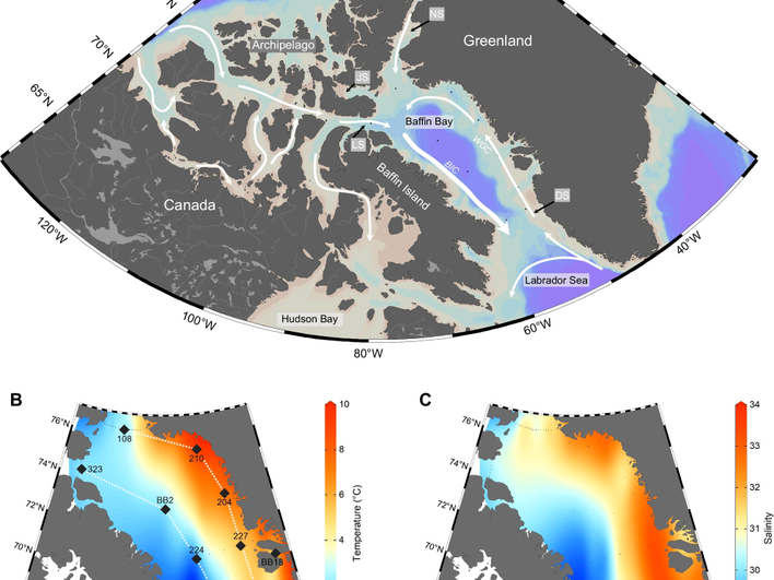 Карта течений в Заливе Баффина, где обнаружили богатые запасы органики у поверхности