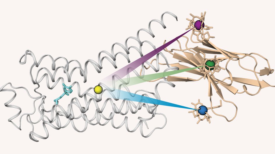 GPCR GPCR