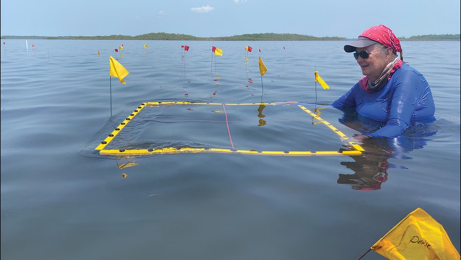 Раскопки солеварни в море