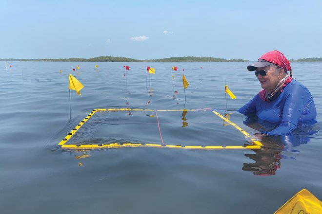 Раскопки солеварни в море