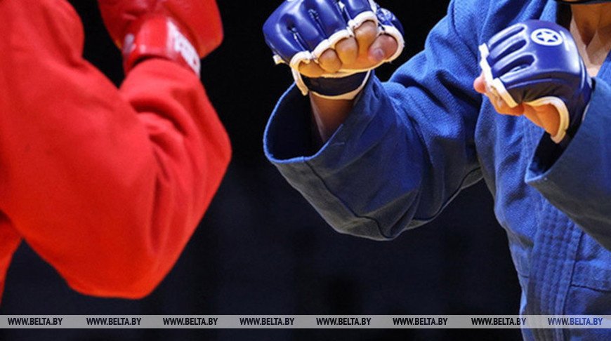 Белорусские спортсмены выступят на чемпионатах Европы по самбо и тхэквондо