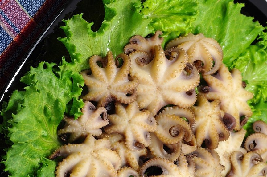 Фото продукта моллюски головоногие