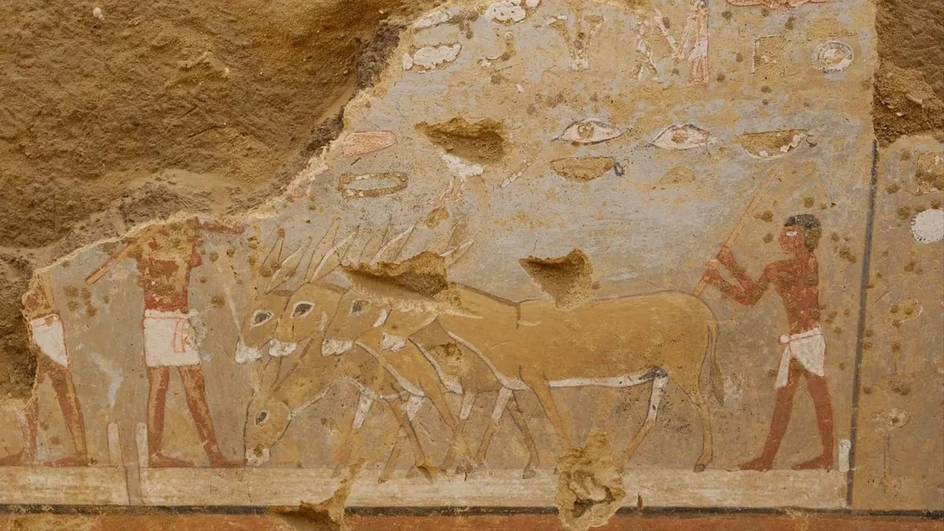 Настенная роспись в гробнице изображает ослов, молотящих зерно на полу
