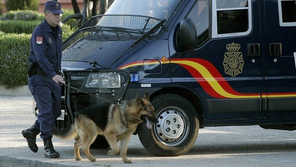 Служебных собак в Мадриде будут спасать от стресса с помощью Моцарта