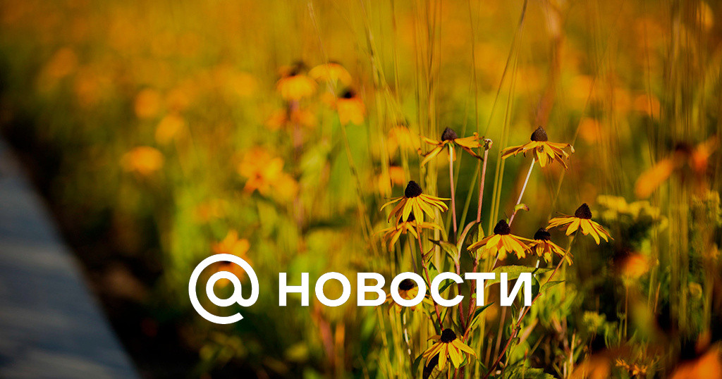 что нельзя делать 21 сентября двадцать четвёртого года