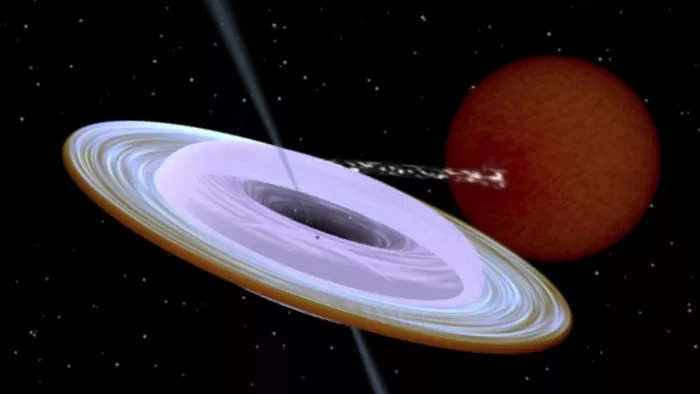 Представление о рентгеновской двойной системе, содержащей черную дыру (маленькую черную точку в центре аккреционного диска) и звезду-компаньона. Фото: space.com