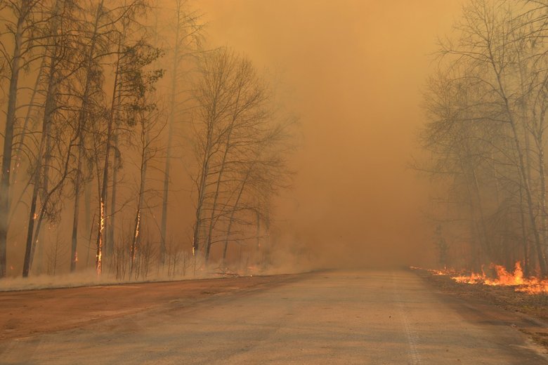 Лес в огне. Фото: Государственное агентство Украины по управлению зоной отчуждения.