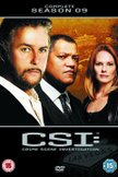 Постер C.S.I. Место преступления: 9 сезон
