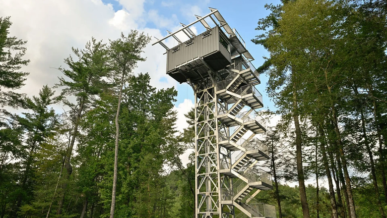 Смотровая площадка River Forest возвышается на 18 м над поверхностью леса.