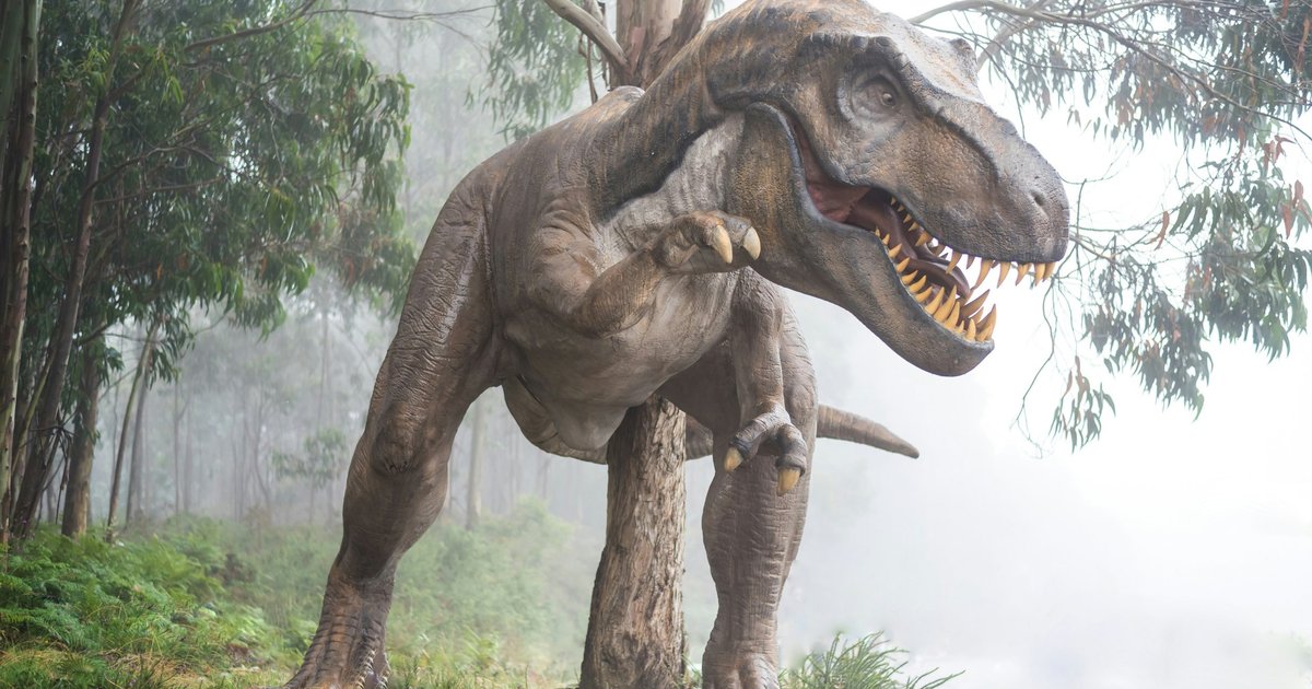Ученые изучили интеллект тираннозавра (и очень удивились)
