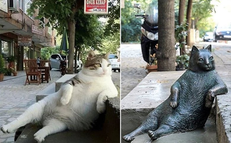 Памятник «задумчивому» коту в Стамбуле