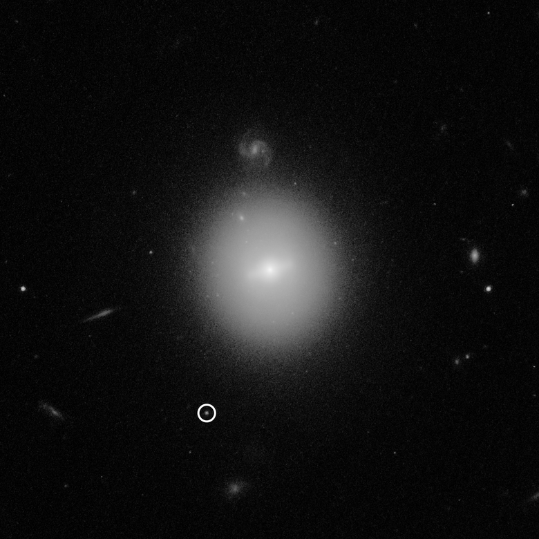Расположение черной дыры средней массы, обнаруженное «Хабблом». Фото: NASA