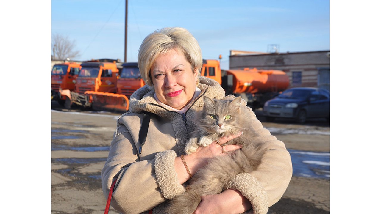 Кошка заняла кресло начальника в Орске Кошка заняла кресло начальника в Орске
