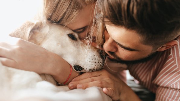 7 интересных фактов о собачьих поцелуях