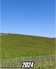 Windows XP Windows XP