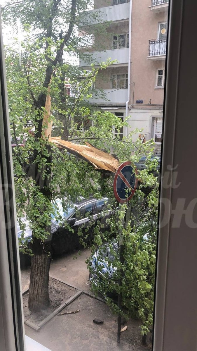 Дерево упало на 4 припаркованные машины на улице Володарского в Воронеже -  Новости Mail.ru