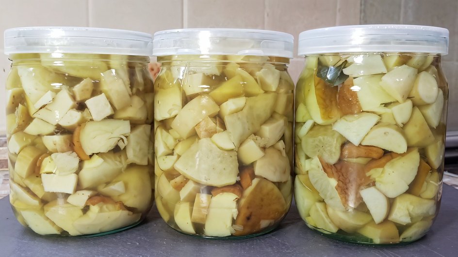 Маринованные маслята в банках Маринованные маслята в банках
