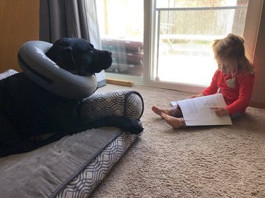 Дочь читает нашей собаке, которой недавно сделали операцию, чтобы она чувствовала себя лучше.