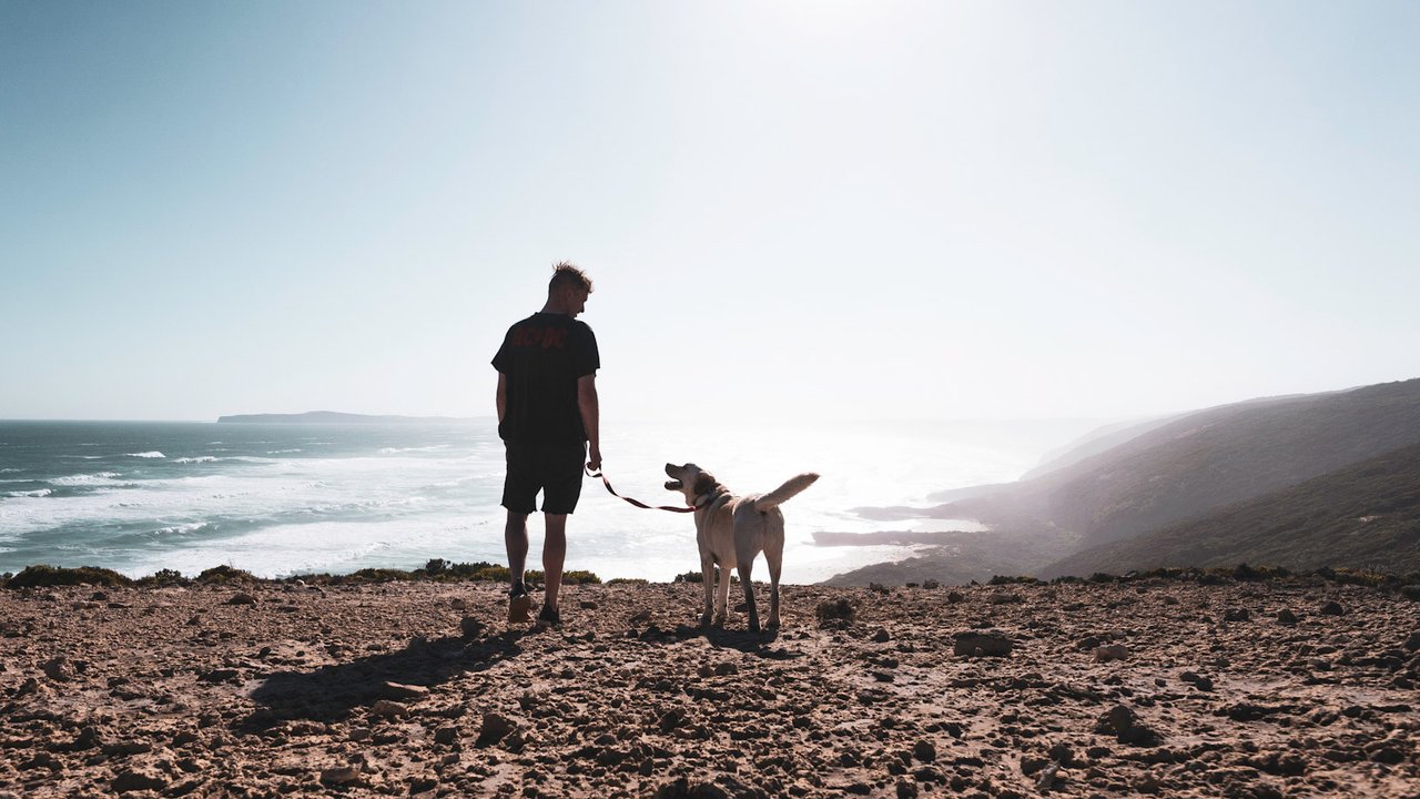 Собака и хозяин на берегу