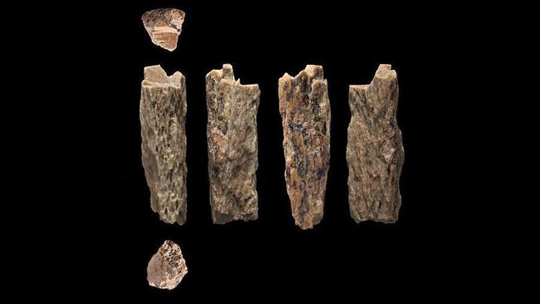 Маленький фрагмент человеческой кости был найден в Денисовой пещере среди 2000 разных костных остатков. Фото: T. Higham/University Of Oxford