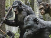 Кадр из Планета обезьян: Революция