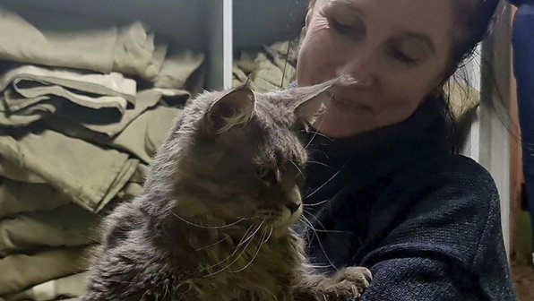 В Москве спасли мейн-куна, который трое суток ждал помощи