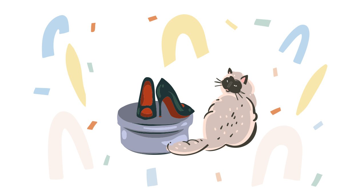 Кошки и обувь