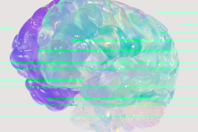 Мозг Мозг