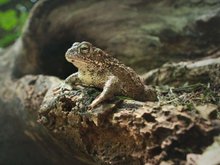 Кадр из Удивительная Дания