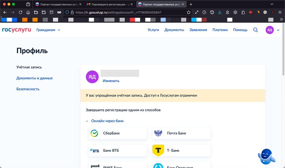 Скриншот страницы сайта Госуслуги с окном личного профиля