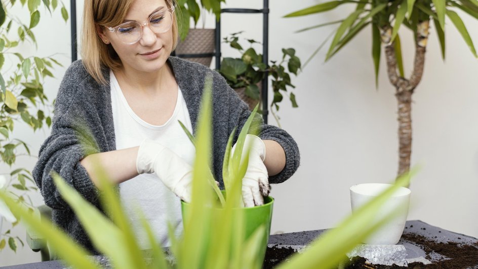 Девушка в белой футболке и кофте ухаживает за домашними растениями 