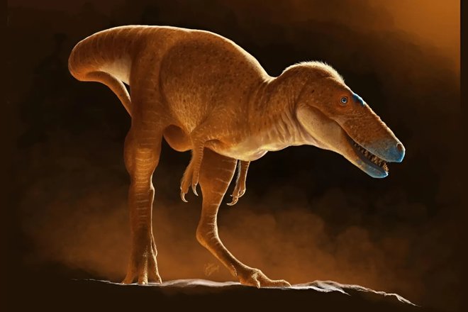 Художественное представление о динозавре Khankhuuluu mongoliensis Художественное представление о динозавре Khankhuuluu mongoliensis